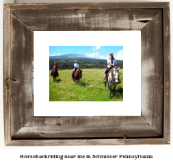 horseback riding near me in Schlusser, Pennsylvania